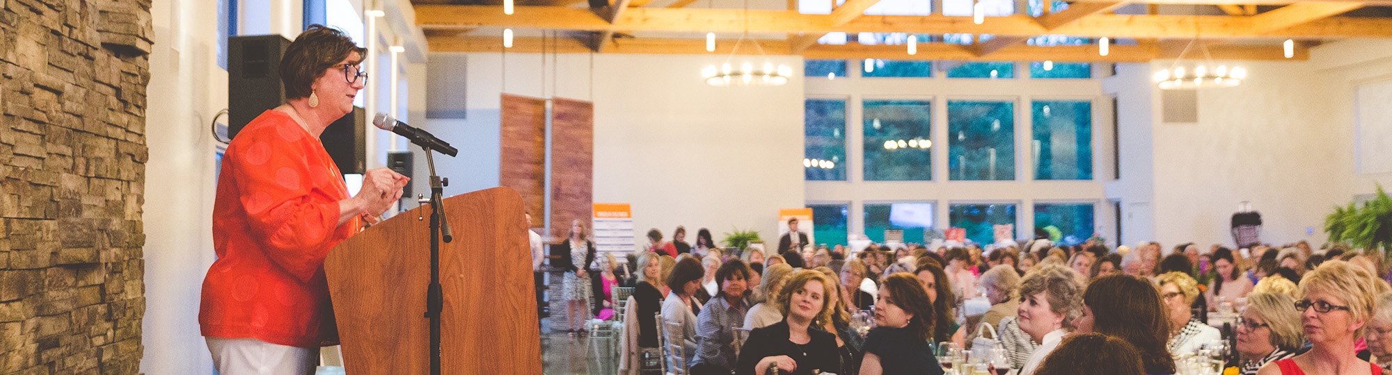 Sue Grey speaking at Power of the Purse